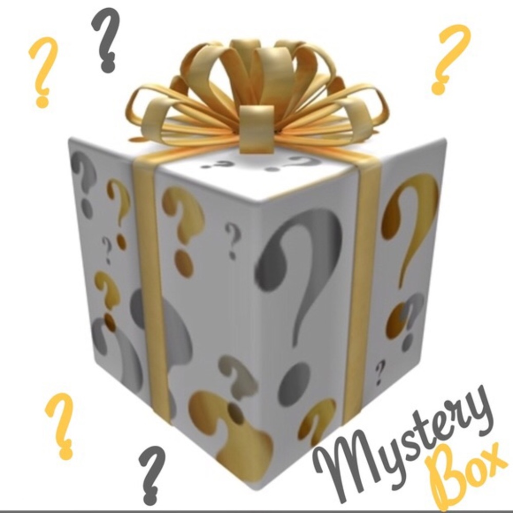 Mystery box full of name brand clothes including current listings in my closet